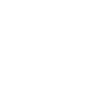 pBone