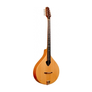 Gold Tone Irish Bouzuouki Mandoline mit Tasche