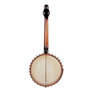 Gold Tone 4 Saiter Cello Banjo  Bild 1