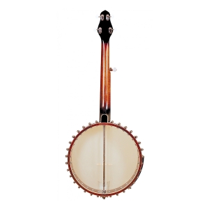 Gold Tone 5 Saiter Cello Banjo Bild 1