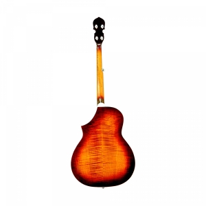Gold Tone Deluxe Resonator Banjo mit Cutaway Bild 2
