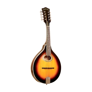 Gold Tone A-Stil Mandoline mit Tonabnehmer  Bild 1