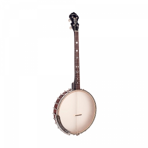 Gold Tone Irish Tenor Banjo mit 17 B�nden Bild 1