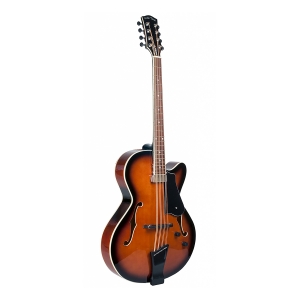 Gold Tone Mandocello Gitarre mit Tonabnehmer