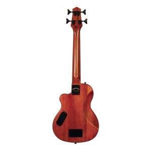 Gold Tone 23 Zoll Elektro Micro Bass Bild 1