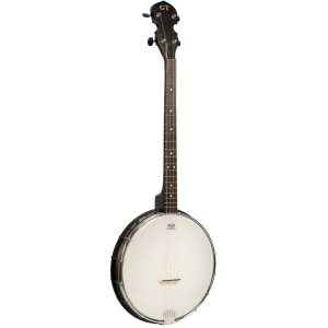 Gold Tone 4 Saiter Tenor Banjo offen