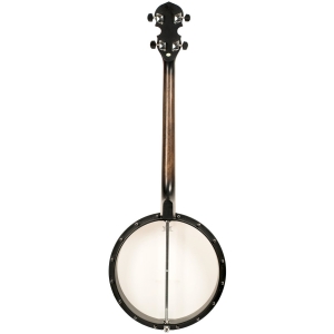 Gold Tone 4 Saiter Tenor Banjo offen Bild 1
