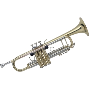 Stagg Wandhalterung f�r Trompete Bild 1