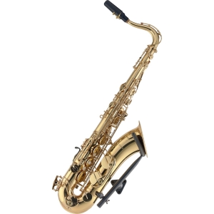 Stagg Wandhalterung fr Tenor Saxophon Bild 1