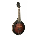 Gold Tone A-Stil Gitarren Mandoline