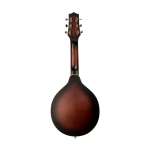 Gold Tone A-Stil Gitarren Mandoline Bild 2