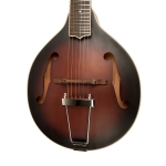 Gold Tone A-Stil Gitarren Mandoline Bild 3