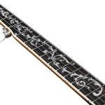 Ibanez 5-Saiter Resonator Banjo Bild 3