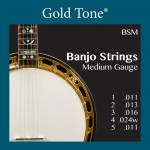 Gold Tone Banjo Saiten Medium