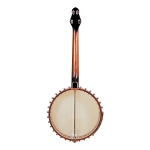 Gold Tone 4 Saiter Cello Banjo  Bild 1