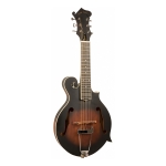 Gold Tone F-Stil 6-Saiter Gitarren Mandoline mit Tonabnehmer
