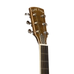 Gold Tone Paul Beard Resonator Gitarre mit Metallkorpus und Tonabnehmer Bild 4