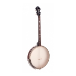Gold Tone Irish Tenor Banjo mit 17 Bnden