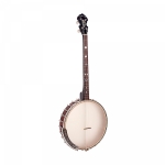Gold Tone Irish Tenor Banjo mit 17 B�nden Bild 1
