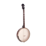 Gold Tone Irish Tenor Banjo mit 19 B�nden Bild 1