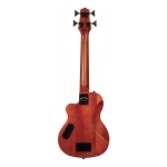 Gold Tone 23 Zoll Elektro Micro Bass Bild 1