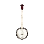 Ortega Falcon Serie Banjo mit Pickup transparent green Bild 1