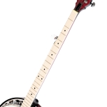 Ortega Falcon Serie Banjo mit Pickup transparent green Bild 6