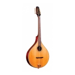Gold Tone Oktaven Mandoline mit Case