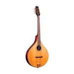 Gold Tone Oktaven Mandoline mit Case Bild 1