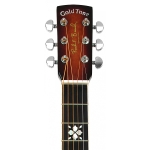 Gold Tone Paul Beard Deluxe Resonator Gitarre mit Square Neck Bild 1