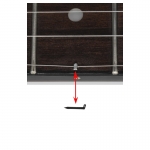 Gold Tone Banjo Dorn