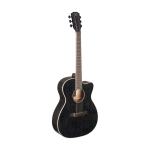 J.N Guitars el. akustische Auditorium Gitarre Doghair Finish