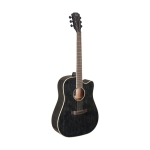 J.N Guitars el. akustische Dreadnought Gitarre Doghair Finish