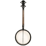 Gold Tone 4 Saiter Tenor Banjo offen Bild 1