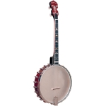 Gold Tone Irish Tenor Banjo
