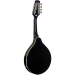 Stagg el. Bluegrass Mandoline schwarz Bild 1