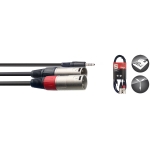 Y-Kabel, Mini-Klinke/XLR (m/m), 2 m