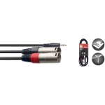Y-Kabel, Mini-Klinke/XLR (m/m), 3 m