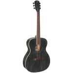 J.N Guitars akustische Auditorium Gitarre Doghair Finish